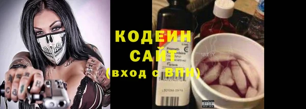 индика Россошь