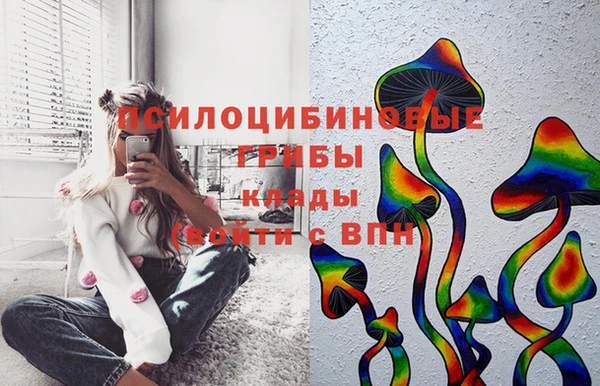 spice Балахна